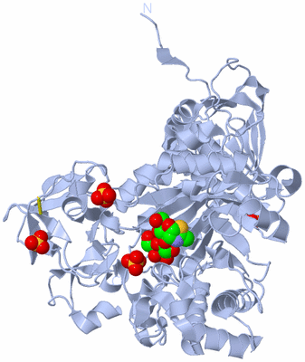 Image Biological Unit 1