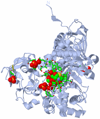 Image Biol. Unit 1 - sites