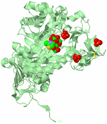 Image Biological Unit 2