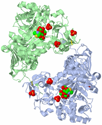 Image Biological Unit 3