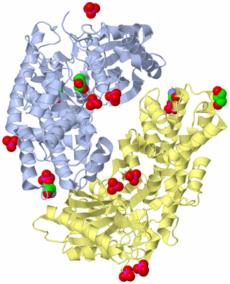 Image Biological Unit 1