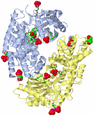 Image Biol. Unit 1 - sites