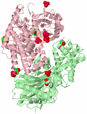 Image Biological Unit 2