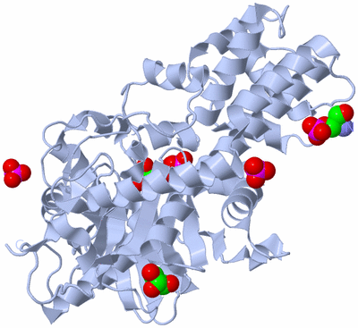 Image Biological Unit 4