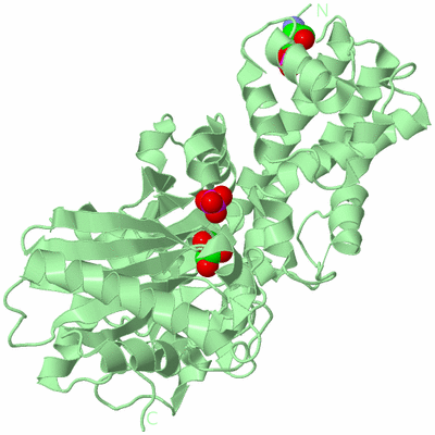 Image Biological Unit 5