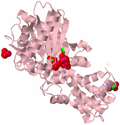 Image Biological Unit 6