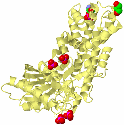 Image Biological Unit 7