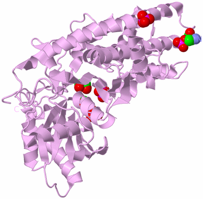 Image Biological Unit 8