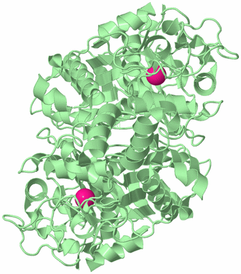 Image Biological Unit 2