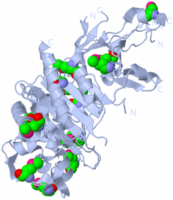 Image Biol. Unit 1 - sites