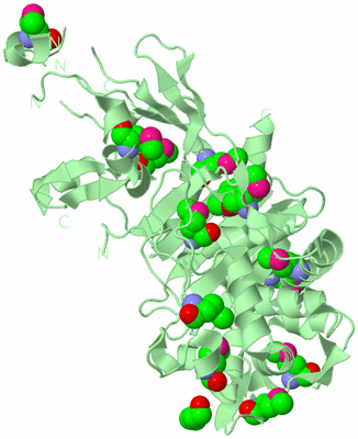 Image Biological Unit 2