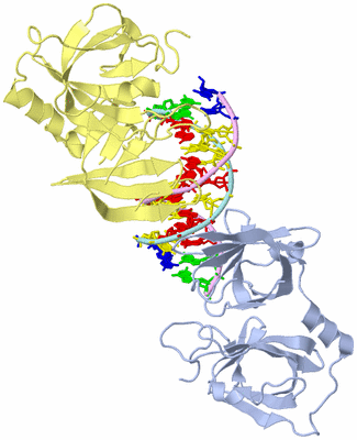 Image Biological Unit 1