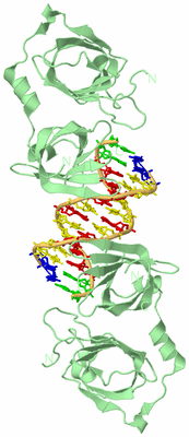 Image Biological Unit 2