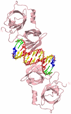 Image Biological Unit 3