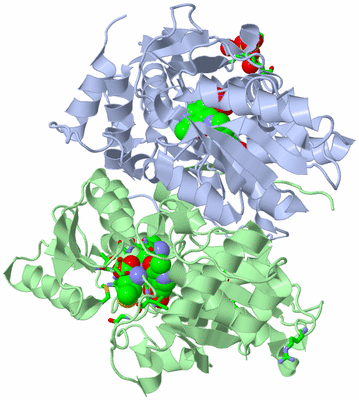 Image Asym./Biol. Unit - sites