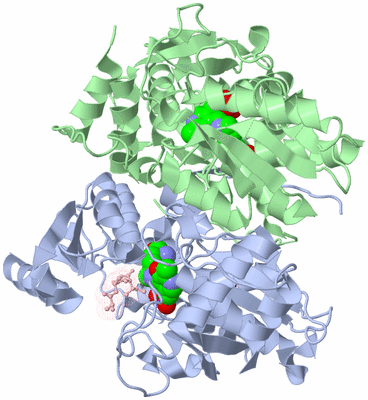 Image Asym./Biol. Unit