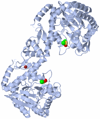 Image Biological Unit 1