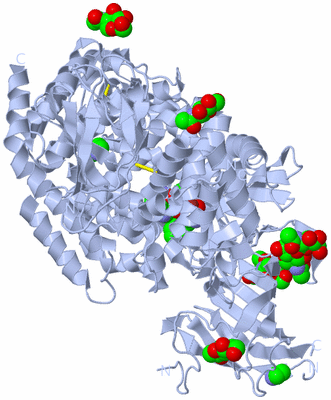 Image Biological Unit 1