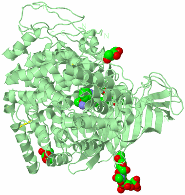 Image Biological Unit 2