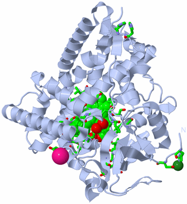 Image Biol. Unit 1 - sites