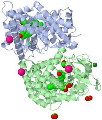 Image Biological Unit 3