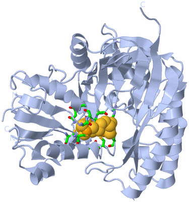 Image Biol. Unit 1 - sites