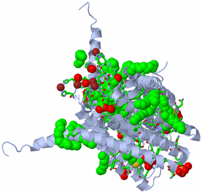 Image Biol. Unit 1 - sites