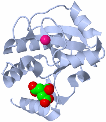 Image Biological Unit 1