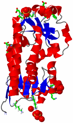 Image Asym./Biol. Unit - sites