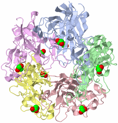 Image Asym./Biol. Unit