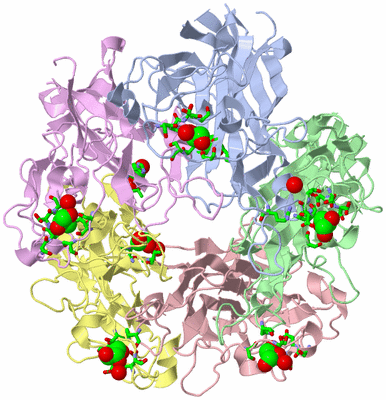 Image Asym./Biol. Unit - sites