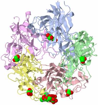 Image Asym./Biol. Unit