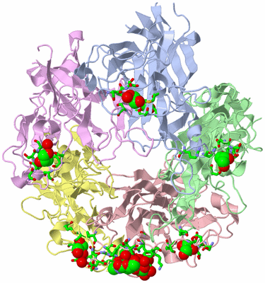 Image Asym./Biol. Unit - sites