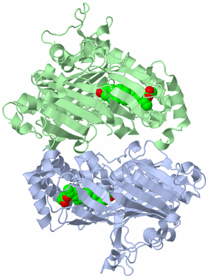 Image Biological Unit 1