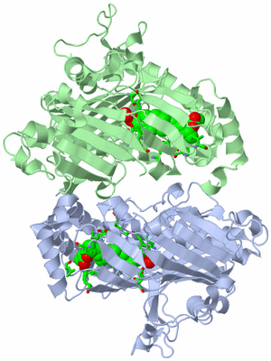 Image Biol. Unit 1 - sites