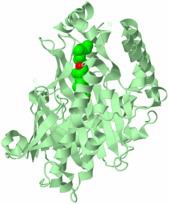 Image Biological Unit 3