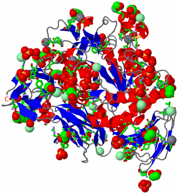 Image Asym./Biol. Unit - sites