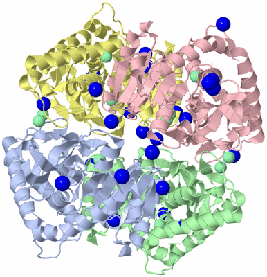 Image Asym./Biol. Unit