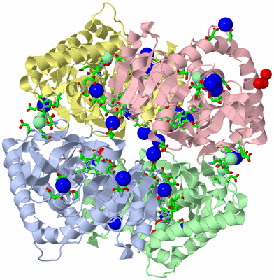 Image Asym./Biol. Unit - sites