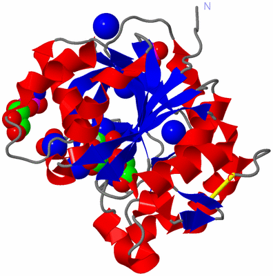 Image Asym./Biol. Unit