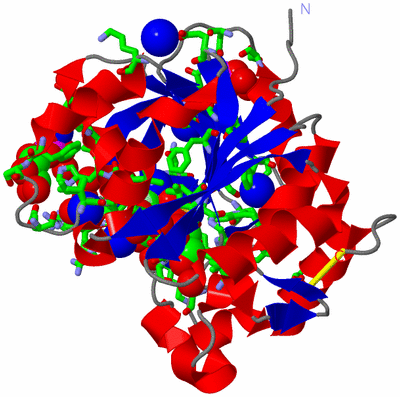 Image Asym./Biol. Unit - sites