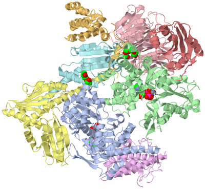 Image Asym./Biol. Unit