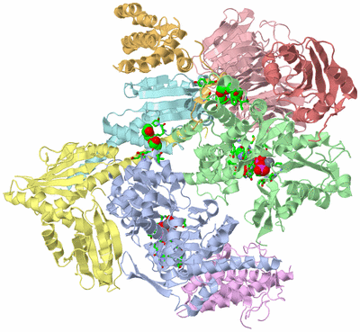 Image Asym./Biol. Unit - sites