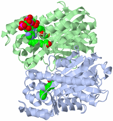 Image Biological Unit 1