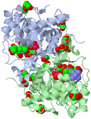 Image Asym./Biol. Unit