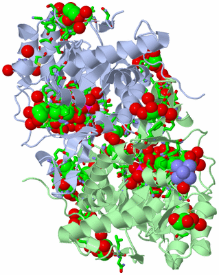 Image Asym./Biol. Unit - sites