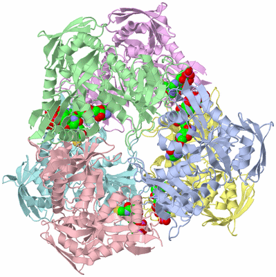 Image Asym./Biol. Unit