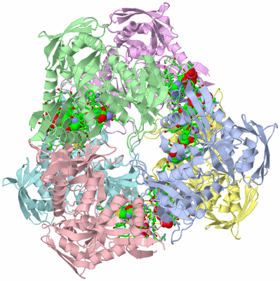 Image Asym./Biol. Unit - sites