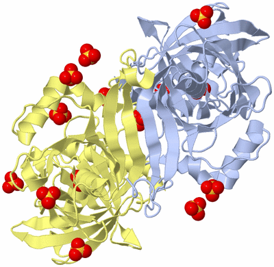 Image Biological Unit 1