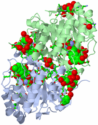 Image Asym./Biol. Unit - sites